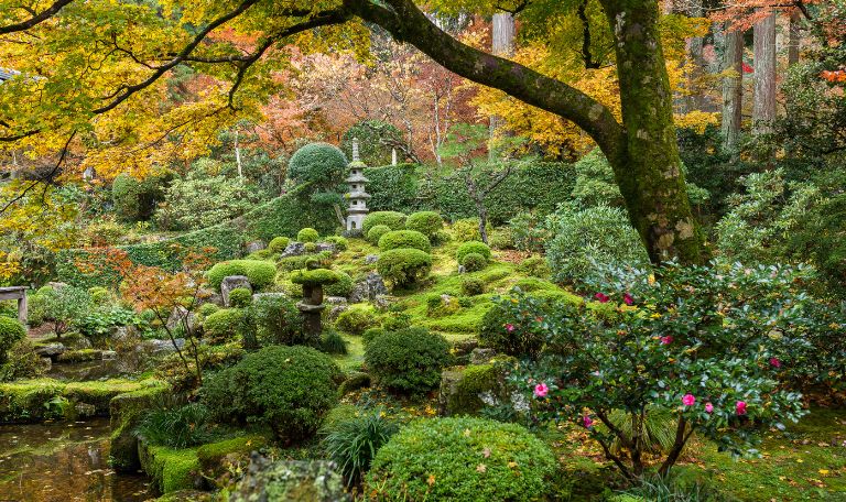 Japanese Tea Garden
