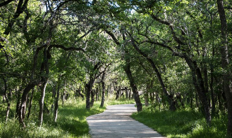McAllister Park