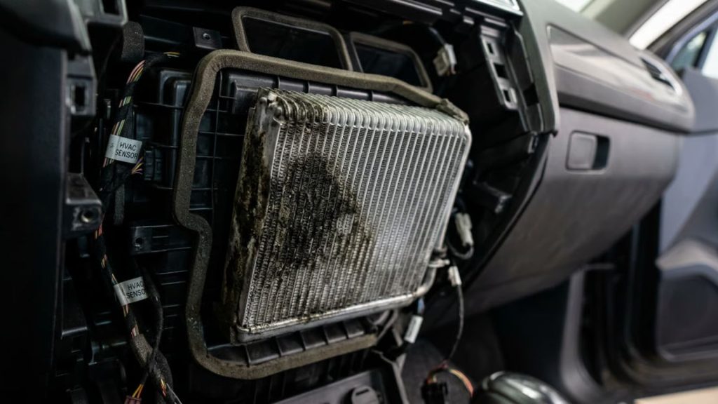 Close-up view of a car AC evaporator coil showing dark microbial discoloration, indicating mold buildup caused by high coastal humidity.